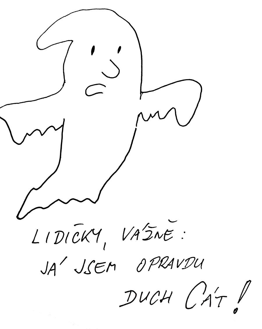 20250525_221336.jpg